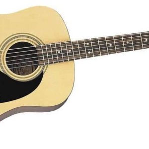 Epiphone  DR 100