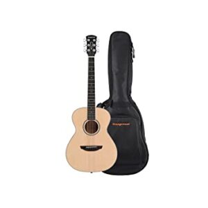 Orangewood DANA M Acoustic Guitar