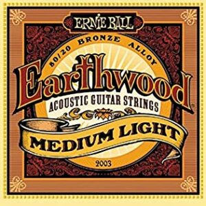 Ernie Ball Acoustic Guitar String Earthwood Medium Light 2003