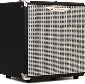ASHDOWN STUDIO-TOURBUS,10Watt Combo Bass Amplifier