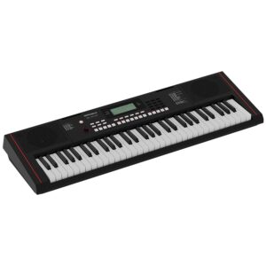 Roland EX10 Arranger Keyboard 61 keys