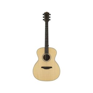 Bromo Acoustic Guitar BAA 2