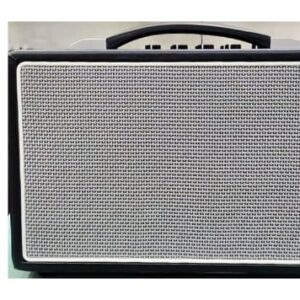 NEPTUNE EGA 10PLUS GUITAR/ BASS AMPLIFIER